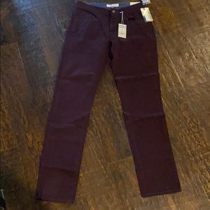 maroon mens pants